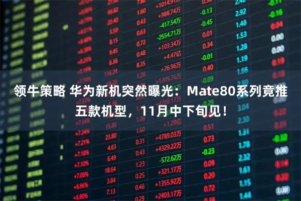 领牛策略 华为新机突然曝光：Mate80系列竟推五款机型，11月中下旬见！