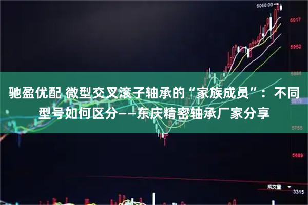 驰盈优配 微型交叉滚子轴承的“家族成员”：不同型号如何区分——东庆精密轴承厂家分享