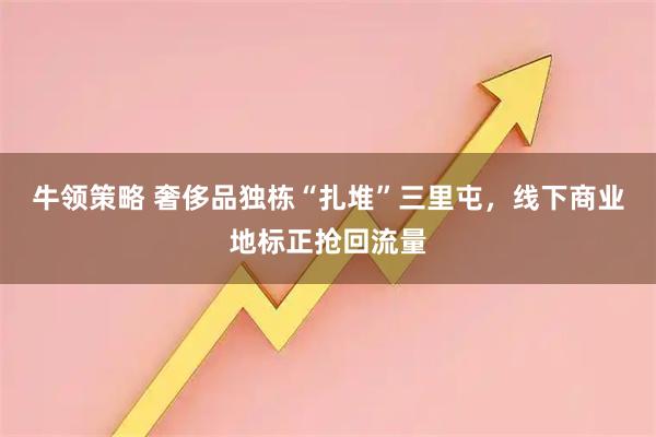 牛领策略 奢侈品独栋“扎堆”三里屯，线下商业地标正抢回流量