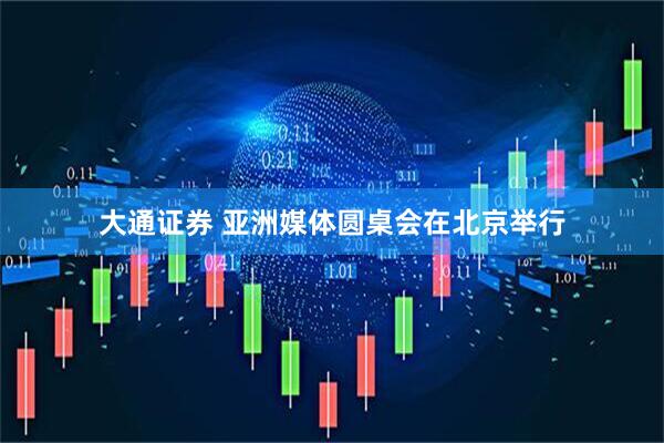 大通证券 亚洲媒体圆桌会在北京举行
